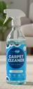 AlixPods Carpet and Fabric Stain Remover Starter Kit - Amazon