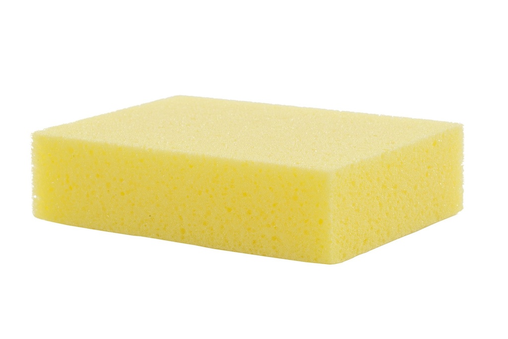 Atlas Graham Aqua Sponge, Large, 7.5 x 4.5 x 1.5 in
