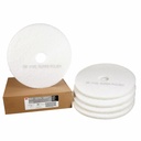 3M Scotch-Brite Polishing Floor Pad, 20 in, White