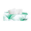 Kruger Products White Swan Facial Tissue, 2-Ply, 100 Sheets, Case of 30