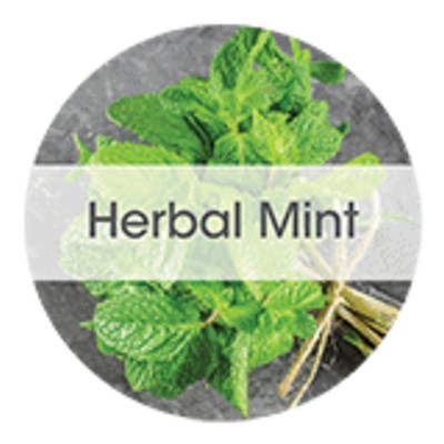 Scent: Herbal Mint