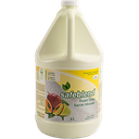 Safeblend Savon mousse - Mangue et papaye - 4 L